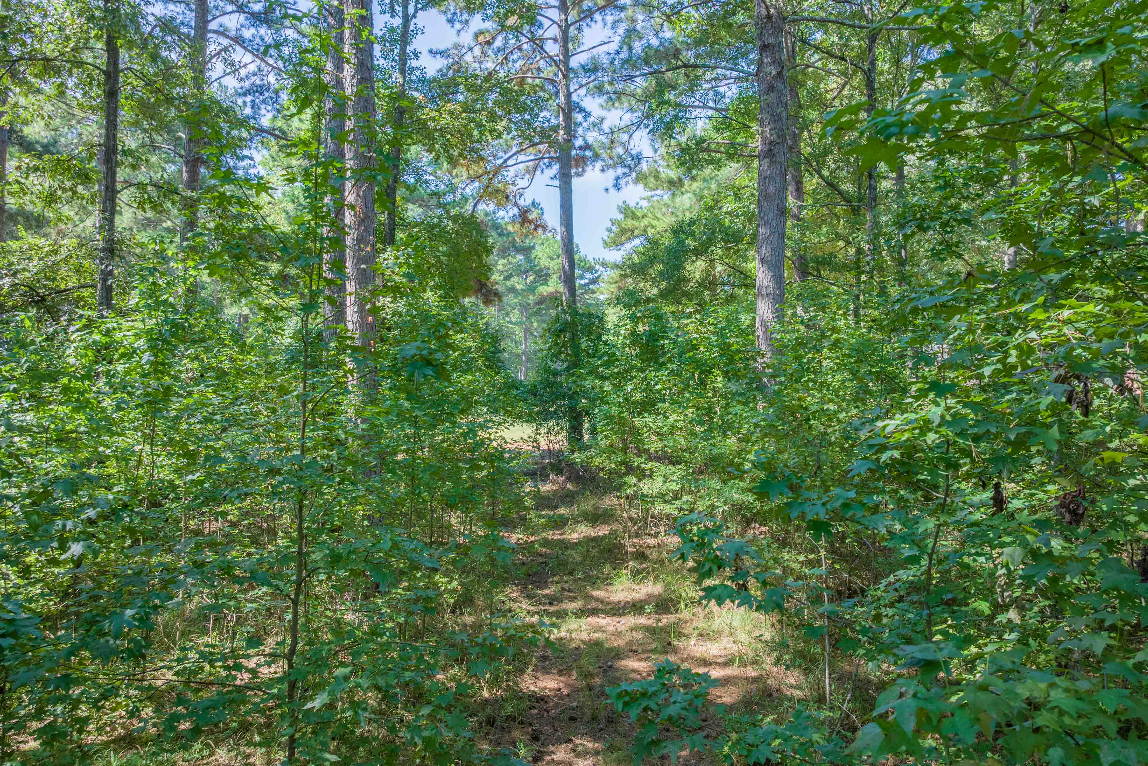 132 Porterfield Drive image 7